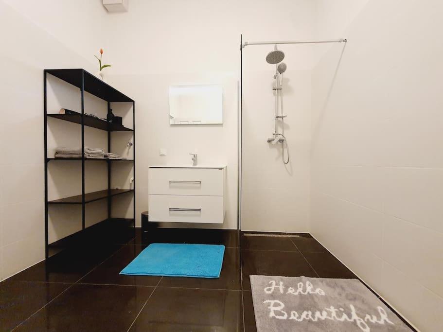 Savoir Vivre Apartments Rosinagasse ウィーン エクステリア 写真
